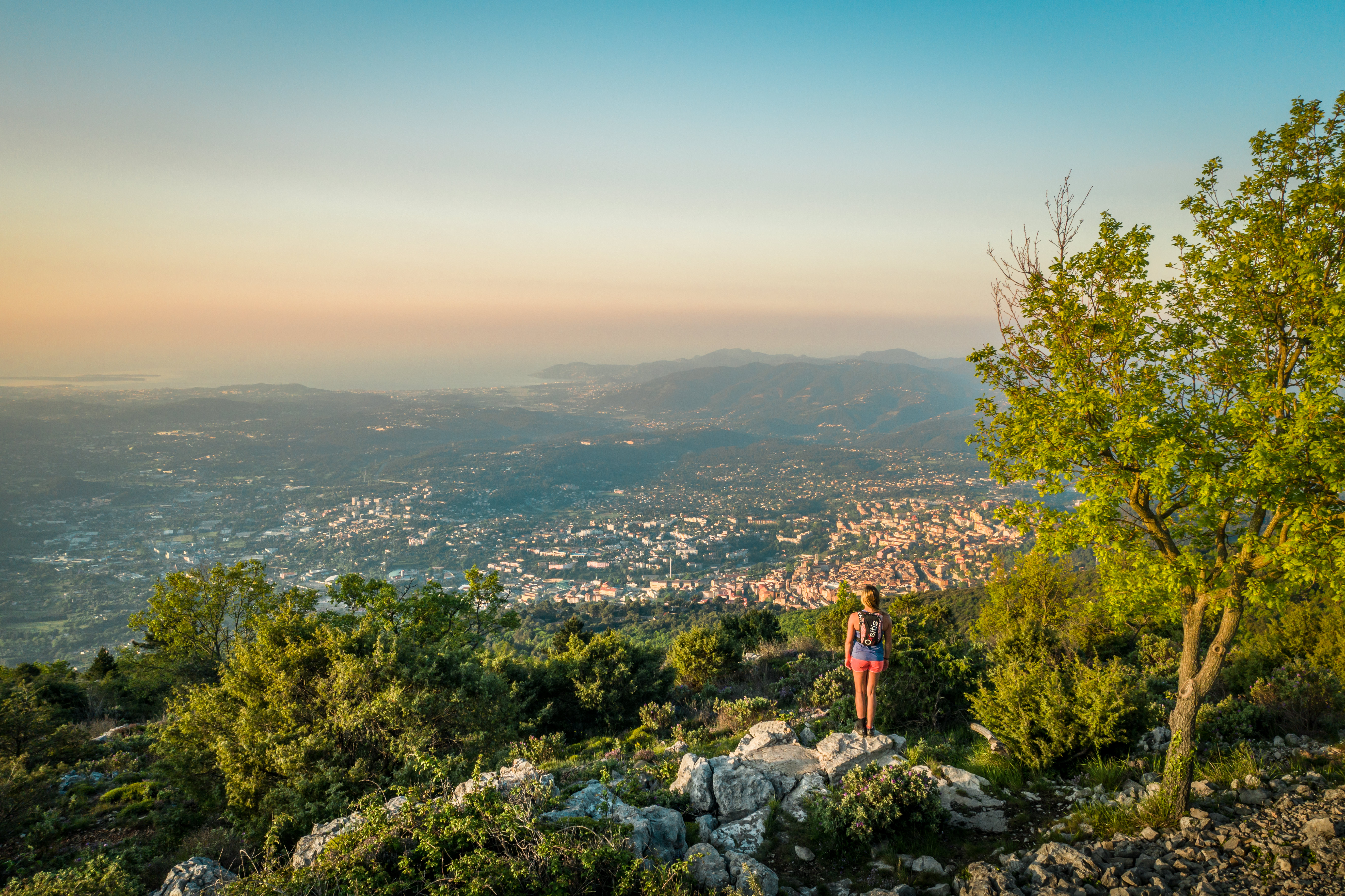 Le chêne de l'Empereur, Route Napoléon, Grasse